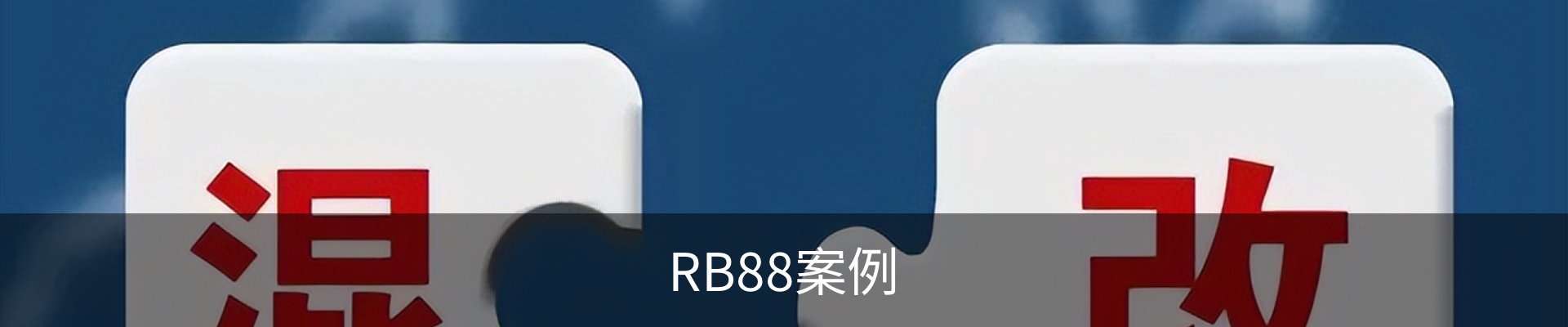 RB88案例